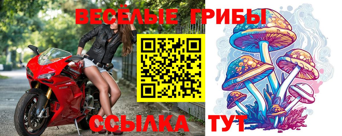 Галлюциногенные грибы мицелий  магазин  наркотиков  Вход с VPN  Сосновоборск  Галлюциногенные грибы мицелий 